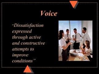 Voice
“Dissatisfaction
expressed
through active
and constructive
attempts to
improve
conditions”
 