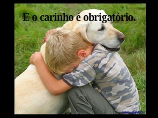 E o carinho é obrigatório. 