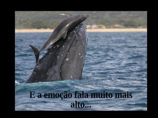 E a emoção fala muito mais alto... 