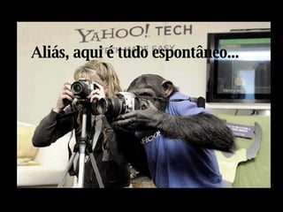 Aliás, aqui é tudo espontâneo... 