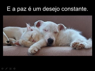 E a paz é um desejo constante. 