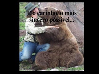 E o carinho, o mais sincero possível... 
