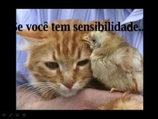 Se você tem sensibilidade... 
