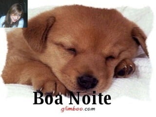 Boa Noite 