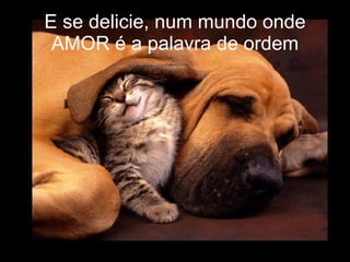 E se delicie, num mundo onde AMOR é a palavra de ordem 