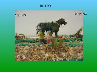 BURRO MENINO VELHO 