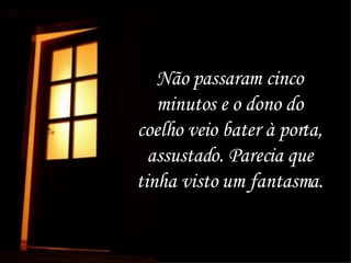 Não passaram cinco minutos e o dono do coelho veio bater à porta, assustado. Parecia que tinha visto um fantasma.  