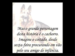 Mas o grande personagem desta história é o cachorro. Imagine o coitado, desde sexta-feira procurando em vão pelo seu amigo de infância. 