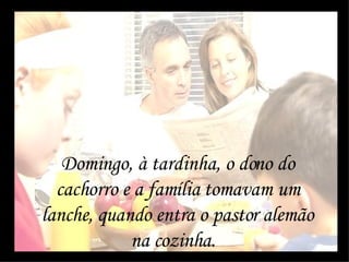Domingo, à tardinha, o dono do cachorro e a família tomavam um lanche, quando entra o pastor alemão na cozinha.  
