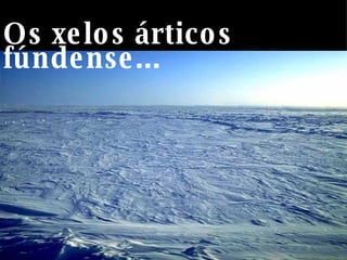 Os xelos árticos fúndense... 