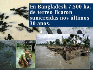 En Bangladesh 7.500 ha. de terreo ficaron sumerxidas nos últimos 30 anos . 