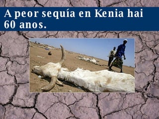 A peor sequía en Kenia hai 60 anos. 