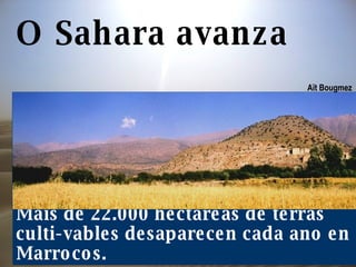 O Sahara avanza Máis de 22.000 hectáreas de terras culti-vables desaparecen cada ano en Marrocos.  Aït Bougmez   