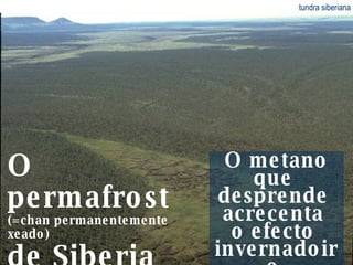 O permafrost  (=chan permanentemente xeado)  de Siberia evapórase... tundra siberiana O metano que  desprende  acrecenta  o efecto  invernadoiro. 