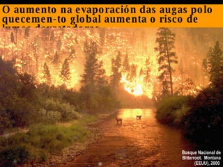 O aumento na evaporación das augas polo quecemen-to global aumenta o risco de lumes devastadores. Bosque Nacional de Bitterroot.  Montana (EEUU), 2000  