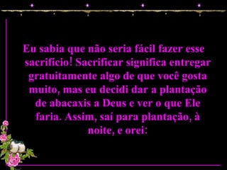 Eu sabia que não seria fácil fazer esse sacrifício! Sacrificar significa entregar gratuitamente algo de que você gosta muito, mas eu decidi dar a plantação de abacaxis a Deus e ver o que Ele faria. Assim, saí para plantação, à noite, e orei: 