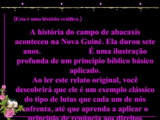 Nada na vida acontece em vão  (Esta é uma história verídica.) A história do campo de abacaxis aconteceu na Nova Guiné. Ela durou sete anos.  É uma ilustração profunda de um princípio bíblico básico aplicado. Ao ler este relato original, você descobrirá que ele é um exemplo clássico do tipo de lutas que cada um de nós enfrenta, até que aprenda a aplicar o princípio de renúncia aos direitos pessoais. 