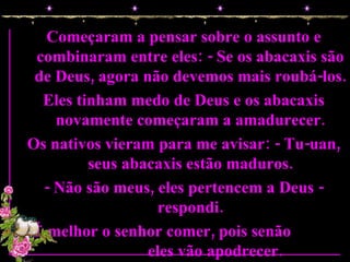 Começaram a pensar sobre o assunto e combinaram entre eles: - Se os abacaxis são de Deus, agora não devemos mais roubá-los. Eles tinham medo de Deus e os abacaxis novamente começaram a amadurecer. Os nativos vieram para me avisar: - Tu-uan, seus abacaxis estão maduros. - Não são meus, eles pertencem a Deus - respondi. - É melhor o senhor comer, pois senão  eles vão apodrecer. 