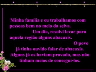 Minha família e eu trabalhamos com pessoas bem no meio da selva.  Um dia, resolvi levar para aquela região alguns abacaxis.  O povo já tinha ouvido falar de abacaxis. Alguns já os haviam provado, mas não tinham meios de consegui-los. 