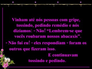 Vinham até nós pessoas com gripe, tossindo, pedindo remédio e nós dizíamos: - Não! “Lembrem-se que vocês roubaram nossos abacaxis”. - Não fui eu! - eles respondiam - foram os outros que fizeram isso.   E continuavam tossindo e pedindo.   