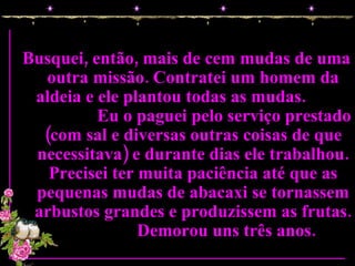 Busquei, então, mais de cem mudas de uma outra missão. Contratei um homem da aldeia e ele plantou todas as mudas.  Eu o paguei pelo serviço prestado (com sal e diversas outras coisas de que necessitava) e durante dias ele trabalhou. Precisei ter muita paciência até que as pequenas mudas de abacaxi se tornassem arbustos grandes e produzissem as frutas.  Demorou uns três anos.  