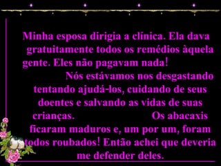 Minha esposa dirigia a clínica. Ela dava gratuitamente todos os remédios àquela gente. Eles não pagavam nada!  Nós estávamos nos desgastando tentando ajudá-los, cuidando de seus doentes e salvando as vidas de suas crianças.  Os abacaxis ficaram maduros e, um por um, foram todos roubados! Então achei que deveria me defender deles. 