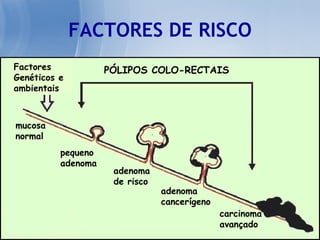 FACTORES DE RISCO Factores Genéticos e ambientais PÓLIPOS COLO-RECTAIS mucosa normal pequeno adenoma adenoma  de risco adenoma   cancerígeno carcinoma avançado 