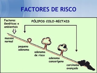 FACTORES DE RISCO Factores Genéticos e ambientais PÓLIPOS COLO-RECTAIS mucosa normal pequeno adenoma adenoma  de risco adenoma   cancerígeno carcinoma avançado 