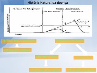 PERÍODO PRÉ-PATOGÉNICO PERÍODO PATOGÉNICO PREVENÇÃO PRIMÁRIA FASE CLÍNICA FASE PRÉ-CLÍNICA PREVENÇÃO SECUNDÁRIA PREVENÇÃO TERCIÁRIA História Natural da doença 