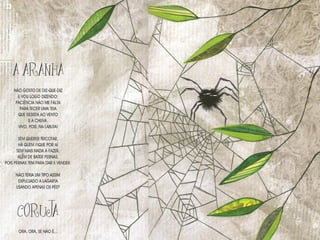 O caso-do-sumic3a7o-da-lagarta