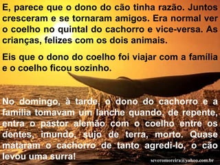 E, parece que o dono do cão tinha razão. Juntos cresceram e se tornaram amigos. Era normal ver o coelho no quintal do cachorro e vice-versa. As crianças, felizes com os dois animais. Eis que o dono do coelho foi viajar com a família e o coelho ficou sozinho. No domingo, à tarde, o dono do cachorro e a família tomavam um lanche quando, de repente, entra o pastor alemão com o coelho entre os dentes, imundo, sujo de terra, morto. Quase mataram o cachorro de tanto agredi-lo, o cão levou uma surra! [email_address] 