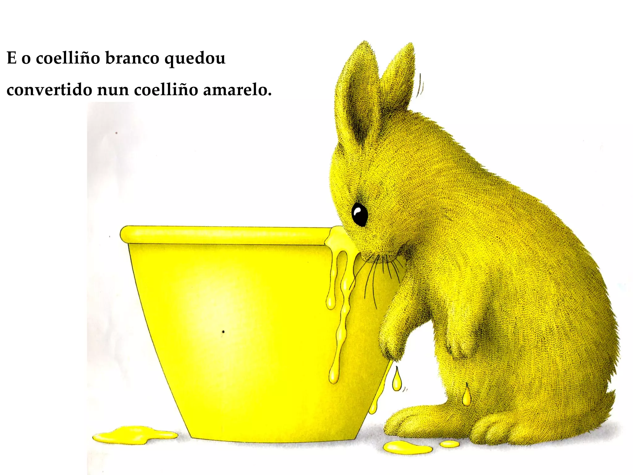 E o coelliño branco quedou convertido nun coelliño amarelo. 