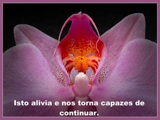 Isto alivia e nos torna capazes de continuar. 