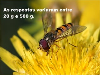 As respostas variaram entre  20 g e 500 g. 