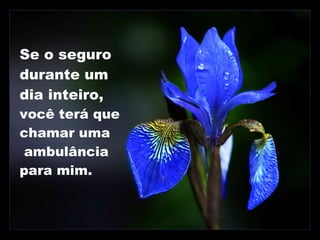 Se o seguro durante um dia inteiro,  você terá que chamar uma  ambulância para mim. 