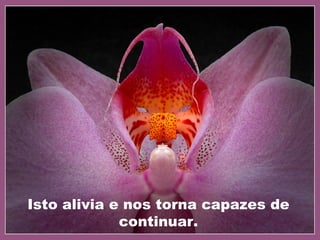 Isto alivia e nos torna capazes de continuar. 