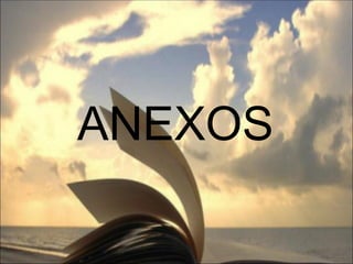 ANEXOS 