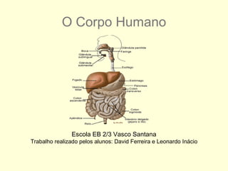 O Corpo Humano ,[object Object],[object Object]