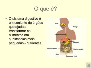 O que é? O sistema digestivo é um conjunto de órgãos que ajuda a transformar os alimentos em substâncias mais pequenas - nutrientes. 