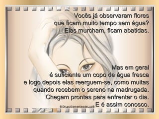 Vocês já observaram flores  que ficam muito tempo sem água?  Elas murcham, ficam abatidas.  Mas em geral  é suficiente um copo de água fresca  e logo depois elas reerguem-se, como muitas  quando recebem o sereno na madrugada.  Chegam prontas para enfrentar o dia.  E é assim conosco.  