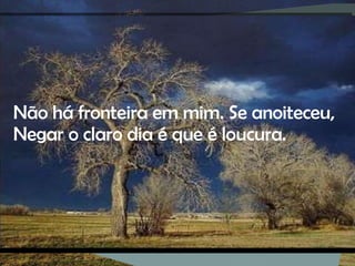 Não há fronteira em mim. Se anoiteceu, Negar o claro dia é que é loucura. 