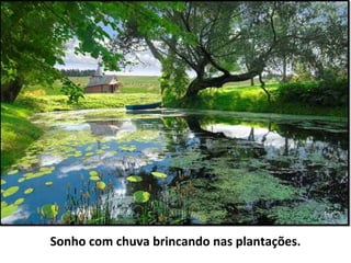 Sonho com chuva brincando nas plantações.
 