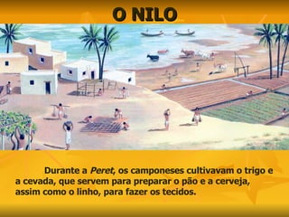O NILO Durante a  Peret , os camponeses cultivavam o trigo e a cevada, que servem para preparar o pão e a cerveja, assim como o linho, para fazer os tecidos. 