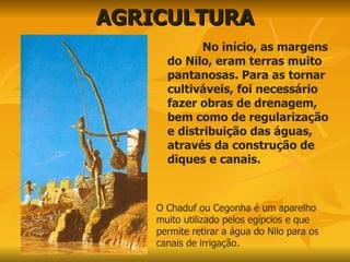 AGRICULTURA No início, as margens do Nilo, eram terras muito pantanosas. Para as tornar cultiváveis, foi necessário fazer obras de drenagem, bem como de regularização e distribuição das águas, através da construção de diques e canais.  O Chaduf ou Cegonha é um aparelho muito utilizado pelos egípcios e que permite retirar a água do Nilo para os canais de irrigação. 