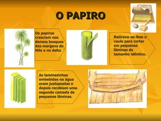 O PAPIRO Os papiros cresciam nos densos bosques das margens do Nilo e no delta Retirava-se-lhes o caule para cortar em pequenas lâminas de tamanho idêntico. As laminazinhas embebidas na água eram justapostas e depois recebiam uma segunda camada de pequenas lâminas. 