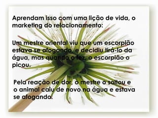 Aprendam isso com uma lição de vida, o marketing do relacionamento: Um mestre oriental viu que um escorpião estava se afogando, e decidiu tirá-lo da água, mas quando o fez, o escorpião o picou.   Pela reação de dor, o mestre o soltou e o animal caiu de novo na água e estava se afogando.   