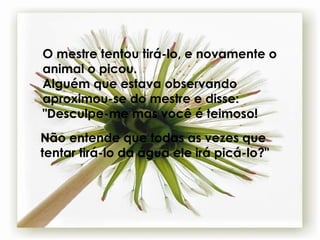 O mestre tentou tirá-lo, e novamente o animal o picou.  Alguém que estava observando aproximou-se do mestre e disse: "Desculpe-me mas você é teimoso!  Não entende que todas as vezes que tentar tirá-lo da água ele irá picá-lo?" 