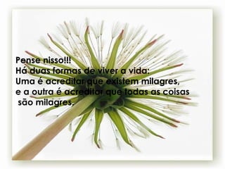 Pense nisso!!! Há duas formas de viver a vida: Uma é acreditar que existem milagres, e a outra é acreditar que todas as coisas são milagres. 