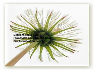 Desconheço o autor Formatado por Raquel Aguilar [email_address] 