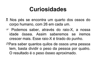Curiosidades    Nos pés se encontra um quarto dos ossos do corpo humano, com 26 em cada um.     Podemos saber, através do raio-X, a nossa idade óssea. Assim saberemos se iremos crescer mais. Esse raio-X é tirado do punho.  Para saber quantos quilos de ossos uma pessoa tem, basta dividir o peso da pessoa por quatro. O resultado é o peso ósseo aproximado.  